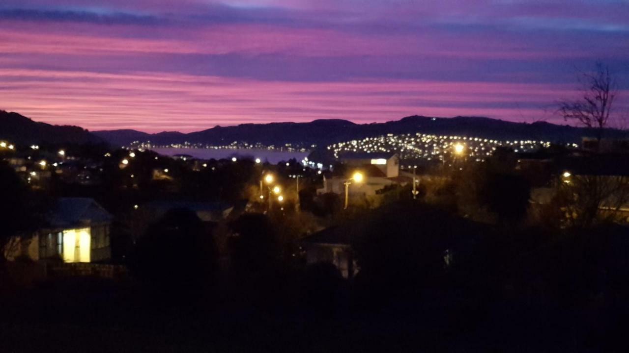 Sunny Mornington 2 Bedroom Guest Suite Dunedin Exteriör bild